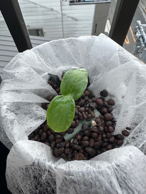 画像に alt 属性が指定されていません。ファイル名: -rotated.jpg